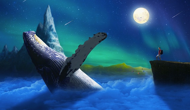 G764c6ec18312c79eb4441164dbe908f57c024eb9ff117444f929641922cef4a42a85cfe402737df3c40ef8d4e2a6cd2228023ecd8cf84fd1c4fd16527ac7ff7f 640